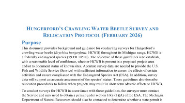 Hungerford's Crawling Water Beetle Survey and Relocation Protocol