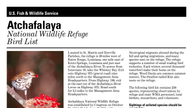 Atchafalaya-birdlist.pdf