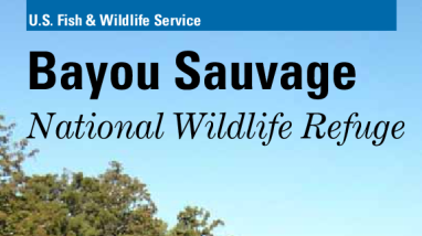 Bayou Sauvage NWR Brochure