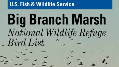 Big Branch Marsh NWR Bird List.pdf