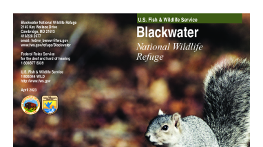 Blackwater NWR General Brochure