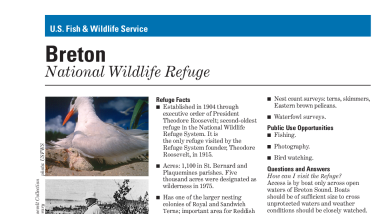 Breton Fact Sheet