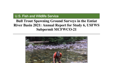 Bull Trout Spawning Ground Surveys in the Entiat River Basin 2021-508.pdf