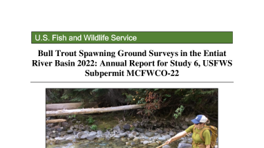 Bull Trout Spawning Ground Surveys in the Entiat River Basin 2022-508.pdf