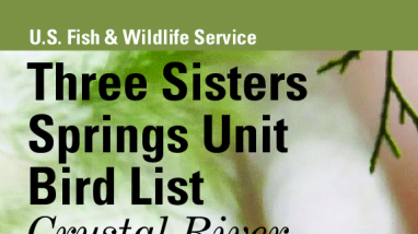 Three Sisters Springs Birding Brochure 
