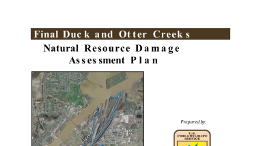Duck and Otter Final Natural Resource Damage Assessment Plan