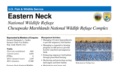 Eastern Neck Fact Sheet