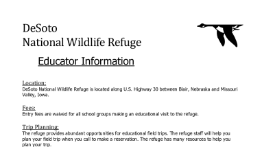 DeSoto Educator Informational Flyer.pdf