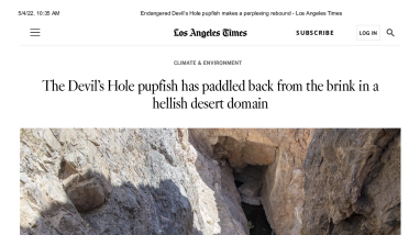 LA Times Story: Devil's Hole pupfish