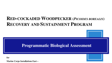 Example 2 USMC 7a1 plan 2012.pdf