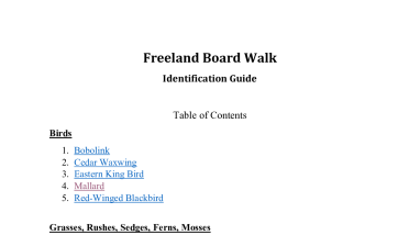 Freeland Boardwalk Unique Species Guide.pdf