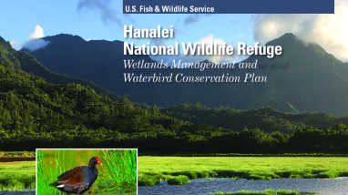 Hanalei NWR Wetlands Management and Waterbird Conservation Plan - Finding of No Significant Impact (FONSI)