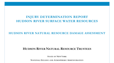 Hudson River Surface Water Injury Determination Report