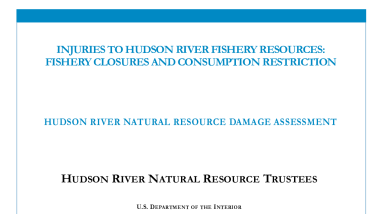Hudson River Fisheries Consumption Injury Determination Report 2015.pdf