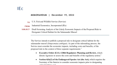 IEc Salamander Mussel Econ Memo 