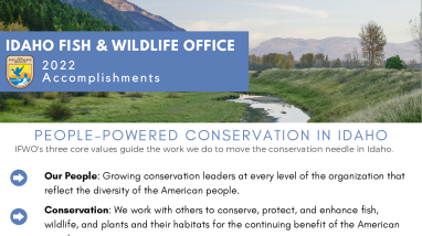 IFWO 2022 Report .pdf