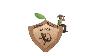 Jr.RangerBookletUpdate 7-23-2022.pdf