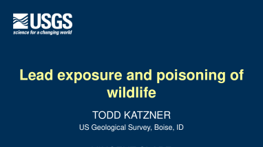 Katzner Lead Poisoning of Wildlife - HWCC