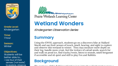 Kindergarten Winter Wetland Wonders