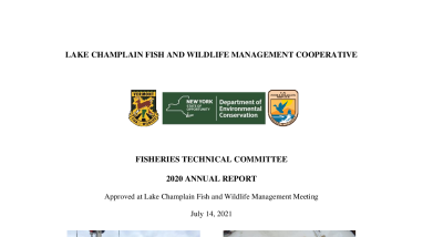 LCFWCO - FTC LCFWMC Annual Report 2020