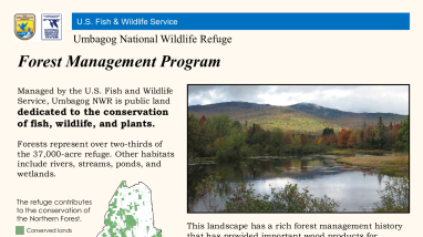 Umbagog Forest Management Brochure.pdf