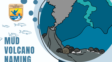 MTMNM Volcano Naming CONTEST ENTRY FORM