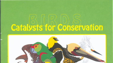 Migratory Bird Coloring Book