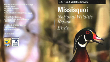 Missisquoi Bird Brochure.pdf