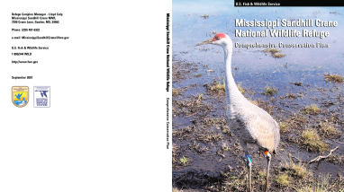 Mississippi Sandhill Crane National Wildlife Refuge Comprehensive Conservation Plan