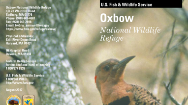 Oxbow National Wildlife Refuge Brochure