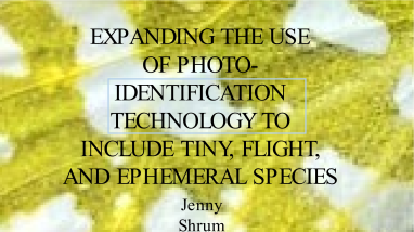 Protecting Endangered Species Winner Expanding the Use of Photo-Identification Technology by Jenny Shrum