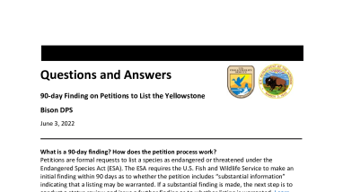 Q&As for 90-day Finding on Petitions to List the Yellowstone Bison DPS