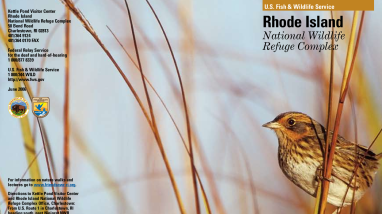 RIComplexBrochure.pdf