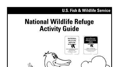 SD activity booklet optimized.pdf