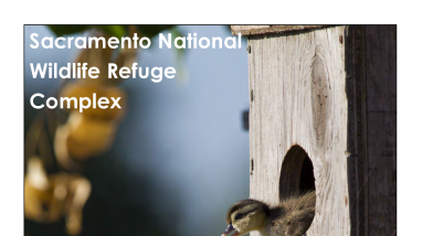 Sacramento National Wildlife Refuge Complex - Junior Ranger Booklet