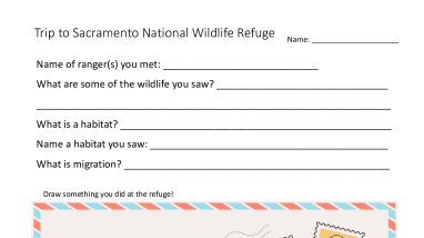 Sacramento National Wildlife Refuge Complex - Post visit postcard worksheet