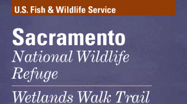 Sacramento National Wildlife Refuge Complex Wetland Walk Brochure