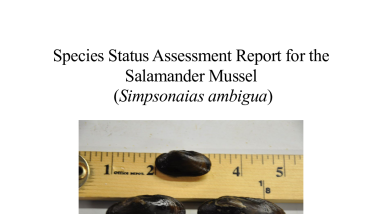 Salamander Mussel SSA Final May 2023