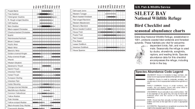 Bird checklist for Siletz Bay NWR