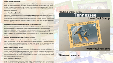 Tennessee Jr Duck Stamp Passport