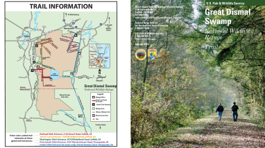 Trail Guide - Great Dismal Swamp- 2019 USFWS.pdf