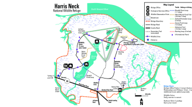 Harris Neck NWR Trail Map