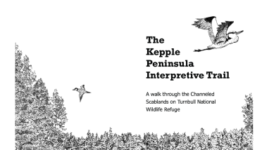 Turnbull NWR Kepple Peninsula Interpretive Trail Brochure
