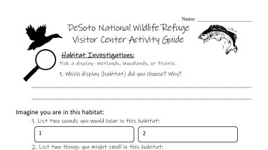 DESO Upper Elementary VC Activity Sheet 508.pdf