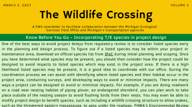 The Wildlife Crossing Volume 3