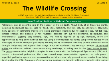 The Wildlife Crossing Volume 4
