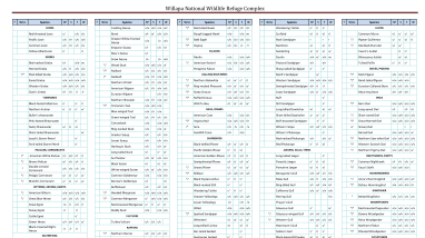 Bird List Willapa NWR