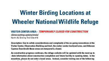 Winter Birding at Wheeler NWR - August 2022 - Virtual Online Version