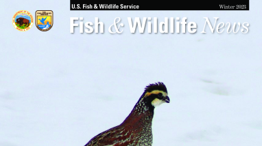 Winter 2023 Fish & Wildlife News
