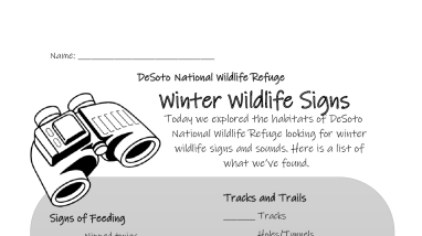 Winter Wildlife Signs Worksheet 508.pdf